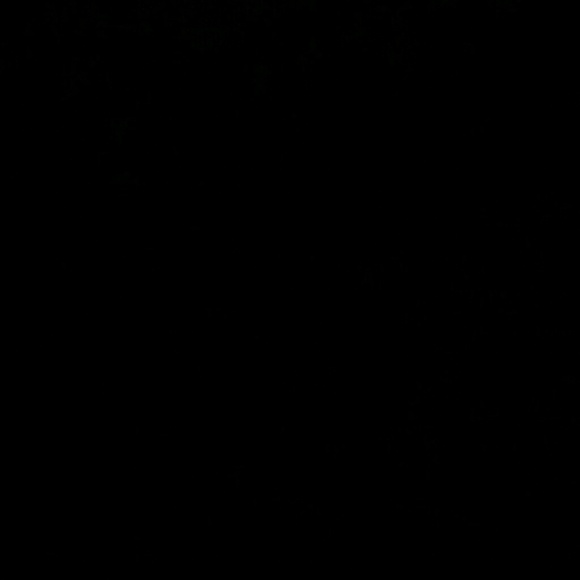 Meet your Posher, Danica - Picture 1 of 1